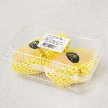 과일엔 태국산 골드망고 800g, 2입, 1팩