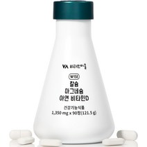 비타민마을 와이즈 칼슘 마그네슘 아연 비타민D 121.5g, 90정, 1개
