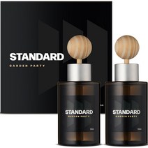 메이튼 스탠다드M 차량용 디퓨저 100ml 본품, 차량용 디퓨저100ml+우드 볼 스틱 2개, 가든파티, 2개, 가든파티