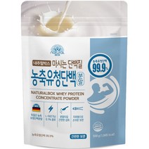 내추럴박스 농축 유청 단백질 분말, 500g, 1개