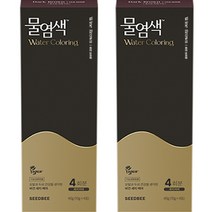 씨드비 물염색 비건 새치커버 염색약 40g 4회분, 와인브라운, 2개