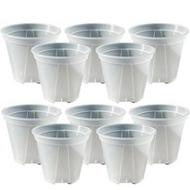 앙플랜트 숨쉬는 슬릿화분 10p, 투명