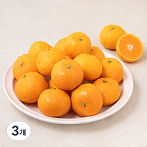 다조은 강서시장 새벽경매 하우스 감귤, 800g, 3개