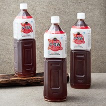 프레시오늘 신선냉장 맑은 계피 생강 5시간 윤성순 장모님 수정과, 1500ml, 3개