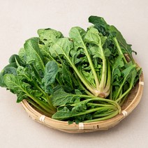 곰곰 시금치, 300g, 1봉