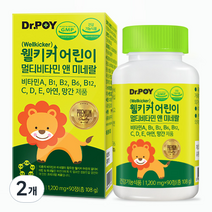 닥터포이 웰키커 어린이 멀티비타민 앤 미네랄, 90정, 108g, 2개