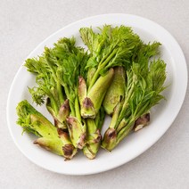 국내산 참두릅, 150g, 1팩