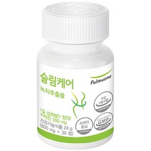 풀무원 슬림케어 녹차추출물, 1개, 24g