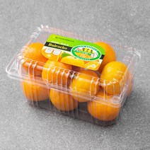 불로초 GAP 인증 고당도 하우스감귤, 800g, 1개