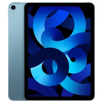 Apple 2022 아이패드 에어 5세대, 블루, 256GB, Wi-Fi+Cellular