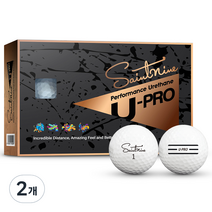 세인트나인 U Pro 프리미엄 고반발 비거리 우레탄 골프공 12p, 화이트, 2개