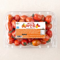 파인토 스테비아, 500g, 1개