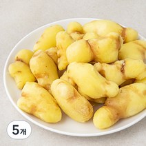 곰곰 깐생강, 300g, 5개