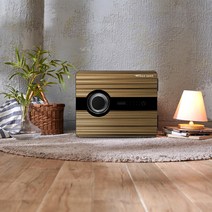 이글세이프 선일금고 이볼브 EV-020 방문설치, 골드 + 블랙(EV-020 SG)