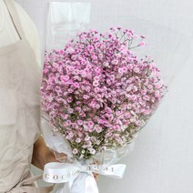 코코도르팜 생화 안개 꽃다발, 연핑크, 1개