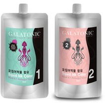 갈라토닉 새치용 오징어먹물 1제 500ml + 2제 500ml, 2N검정색, 1세트