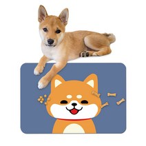 펫코노미 반려동물 깨지지않는 규조토 식기 매트 40 x 60 cm, 시바견, 1개