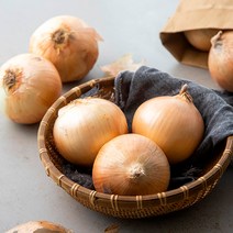 곰곰 국내산 양파(햇) 3kg, 1봉
