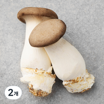 새송이버섯 2입, 170g, 2개