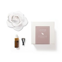 라비다39 리얼장미 대형 플라스터 오너먼트 석고방향제 + 차량용클립 + 리필오일 3ml 세트, 라이트블루