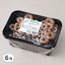 친환경 참타리버섯, 300g, 6개