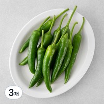 곰곰 국내산 오이맛 고추, 200g, 3개