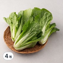 GAP 인증 국내산 얼갈이, 500g, 4개