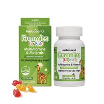 허벌랜드 키즈멀티비타민미네랄 식물성 구미젤리, 60정, 1개
