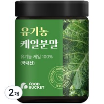 푸드버킷 유기농 케일파우더, 100g, 2개