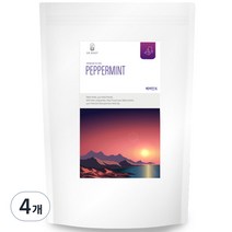 닥터루트 페퍼민트차 삼각티백, 1.2g, 100개입, 4개