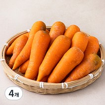 곰곰 주스용 세척당근, 3kg, 4개
