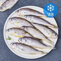 제주어멍 굴비 (냉동), 600g(10미), 1개