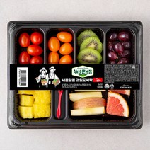 All바른농장 새콤달콤 과일도시락 Two, 1개, 500g