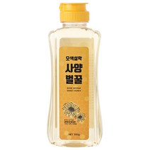 오색설악 사양벌꿀, 500g, 1개