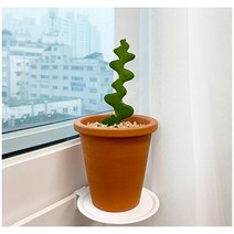 감성다는남자 안뚜리 선반 원형, 화이트