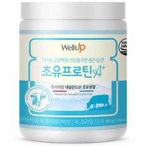 로엘 웰업 마시는 고단백질 초유프로틴 A+, 280g, 1개