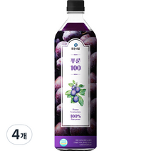 맑은내일 푸룬 100 과채주스, 1000ml, 4개