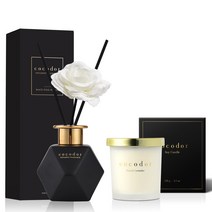 코코도르 소이캔들 스몰자 130g + 블랙골드에디션 디퓨저 200ml 세트, 캔들(프렌치라벤더), 디퓨저(숲속오두막)