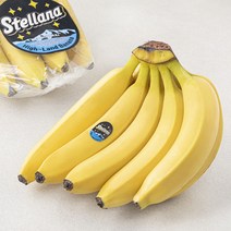스텔라나 베트남산 고산지 바나나, 1.15kg, 1개