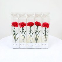 조아트 비누꽃 쁘띠 한송이 카네이션 5p, 레드