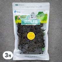 프롬제주 제주산 곤드레나물 100g, 3개