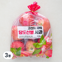 고산지 재배 당도선별 사과, 1.5kg, 3봉