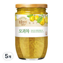 복음자리 모과차, 480g, 1개입, 5개