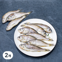 손질 참조기 중 10마리, 600g, 2개