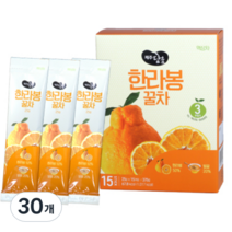 제주담움 한라봉꿀차스틱, 25g, 15개입, 2개
