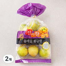 GAP 인증 진시황 올레길 쪼꼴락 황금향 8~12입, 2개, 1.5kg