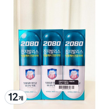2080 진지발리스 치약 허벌민트향, 120g, 12개