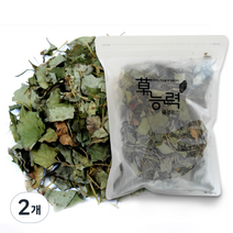 초능력 어성초 한약재료, 100g, 2개