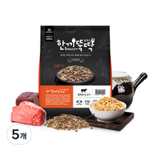 한끼뚝딱 생후 3개월령 이후 황태담은 클래식 강아지 사료, 황태와 소고기 클래식, 1kg, 5개