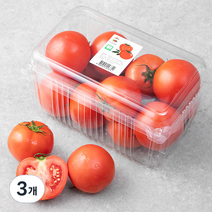 광식이농장 GAP 인증 완숙토마토, 2kg, 3개